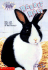 Rabbit Race (Animal Ark Pets #3)