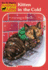 Animal Ark #13: Kitten in the Cold (Animal Ark Hauntings)