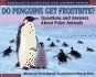 Scholastic Q & a: Do Penguins Get Frostbite (Scholastic Question & Answer)