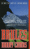 Brules: a Novel