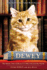 Dewey: the Small-Town Library Cat Who Touched the World