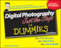 Digital Photography Just the Steps for Dummies