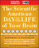 The Scientific American Day in the Life of Your Brain