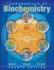 Fundamentals of Biochemistry: Life at the Molecular Level