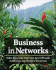 Business in Networks