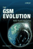 The GSM Evolution: Mobile Packet Data Services