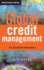 Global Credit Management: an Executive Summary (the Wiley Finance Series)