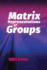 Matrix Representations of Groups (Dover Books on Mathematics)