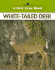 White-Tailed Deer