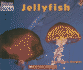 Jellyfish (Welcome Books: Ocean Life)