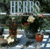 Herbs