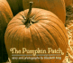 The Pumpkin Patch