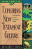 Exploring New Testament Culture