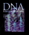 Dna Fingerprinting: the Ultimate Identity (Single Title: Science)
