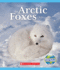 Arctic Foxes (Nature's Children) (Nature's Children, Fourth Series)