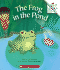 The Frog in the Pond