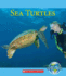 Sea Turtles