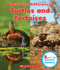 Turtles and Tortoises (Rookie Read-About Science: What's the Difference? ) (Library Edition)