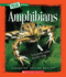 Amphibians (a True Book: Animal Kingdom) (a True Book (Relaunch))