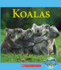 Koalas (Nature's Children)