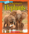 Elephants (a True Book: the Most Endangered)