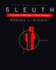 The Statistical Sleuth: a Course in Methods of Data Analysis
