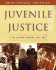 Juvenile Justice: the System, Process and Law