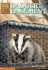 Animal Ark #006 Badger in Basement