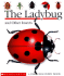 The Ladybug and Other Insects (a First Discovery Book)