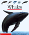 Whales (First Discovery Books)