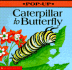Pop-Up Caterpillar to Butterfly