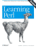 Learning Perl Third Edition