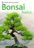 Bonsai Basics: a Pyramid Paperback (Pyramids)