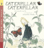 Caterpillar, Caterpillar (Read and Wonder)