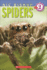 Spiders (Scholastic Reader, Level 2: Nic Bishop #2)