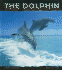 The Dolphin: Prince of the Waves (Animal Close-Ups)