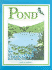 Pond