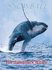 Snowball the Humpback Whale