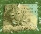 The Snow Leopard