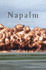 Napalm an American Biography