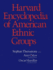 Encyclopaedia of American Ethnic Groups