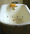 Bath (Chic Simple)
