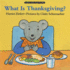 What is Thanksgiving?