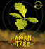 Lifecycles-Acorn to Tree