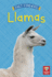 Llamas Format: Library Bound