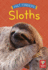 Sloths Format: Paperback