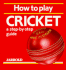 How to Play Cricket: a Step-By-Step Guide (Jarrold Sports)