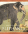 Elephants (Gift Books)