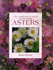 The Gardeners Guide to Growing Asters