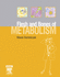 The Flesh and Bones of Metabolism (Flesh & Bones)